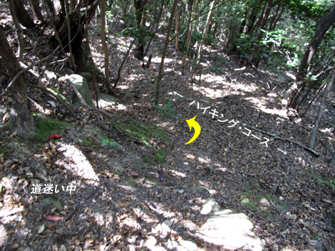 20140426hike (32)